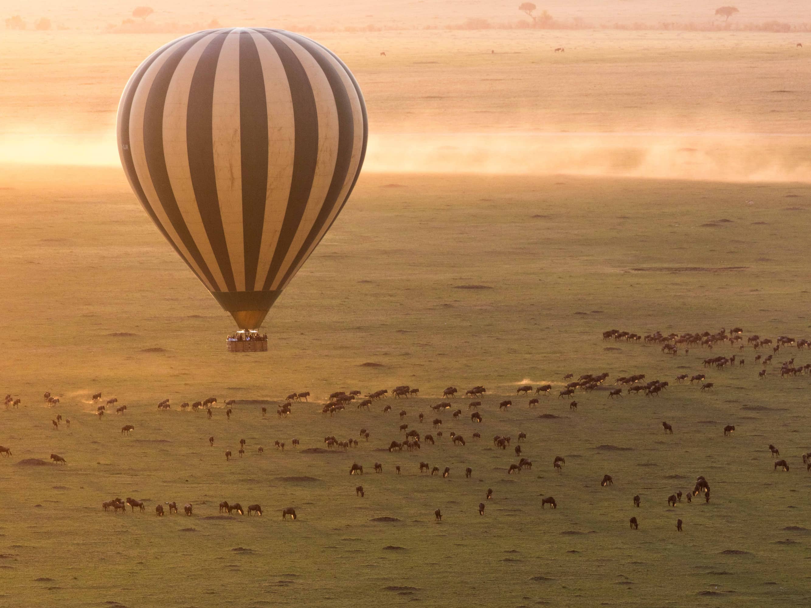  Soar over the Serengeti in a hot-air balloon  