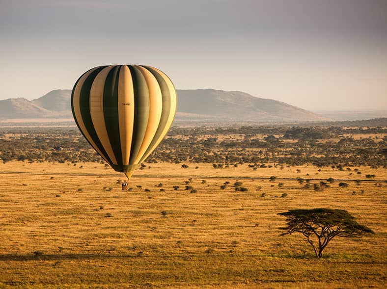  Soar above the Serengeti in a hot air balloon.  