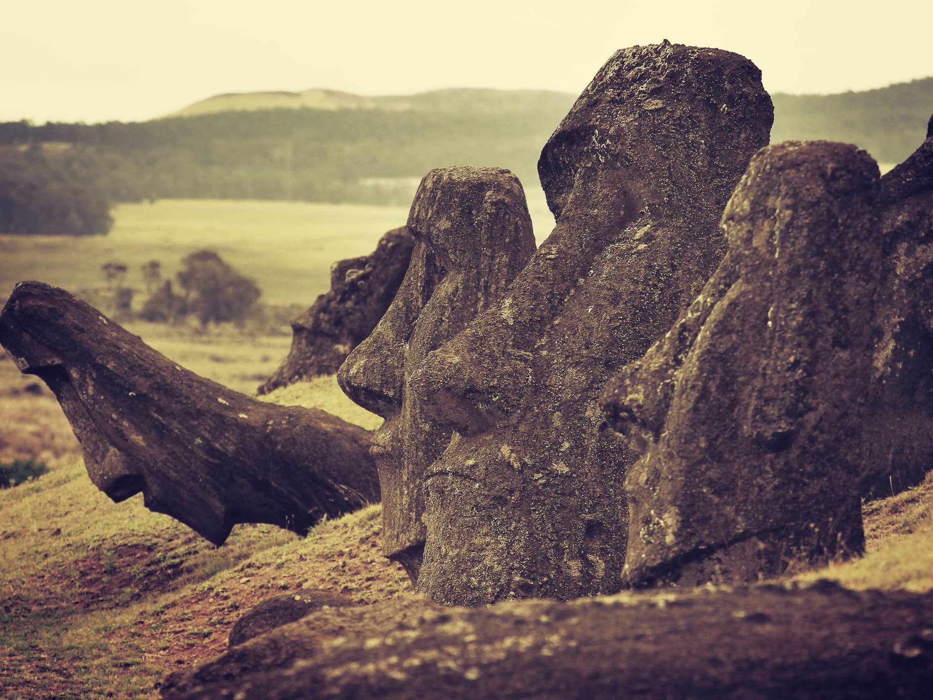  Explore the birthplace of the moai  