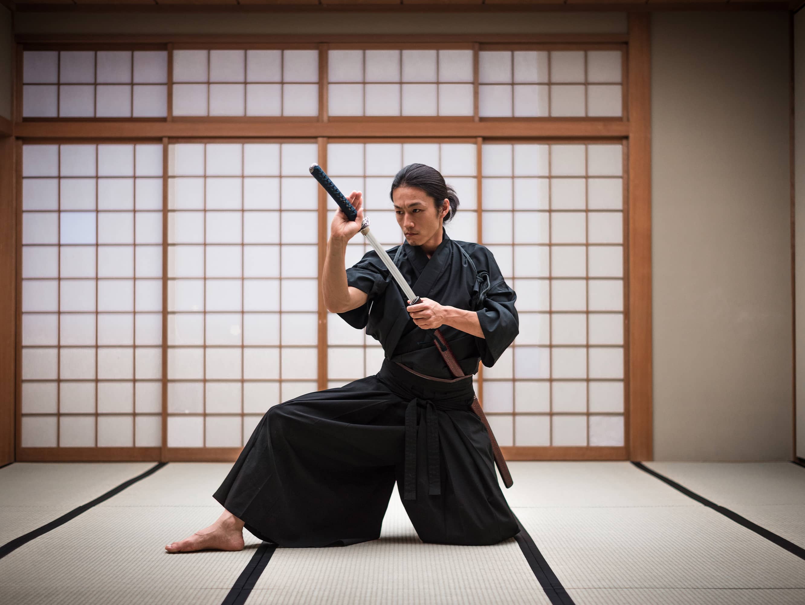  LEARN THE SECRETS OF SAMURAI SWORD FIGHTING  