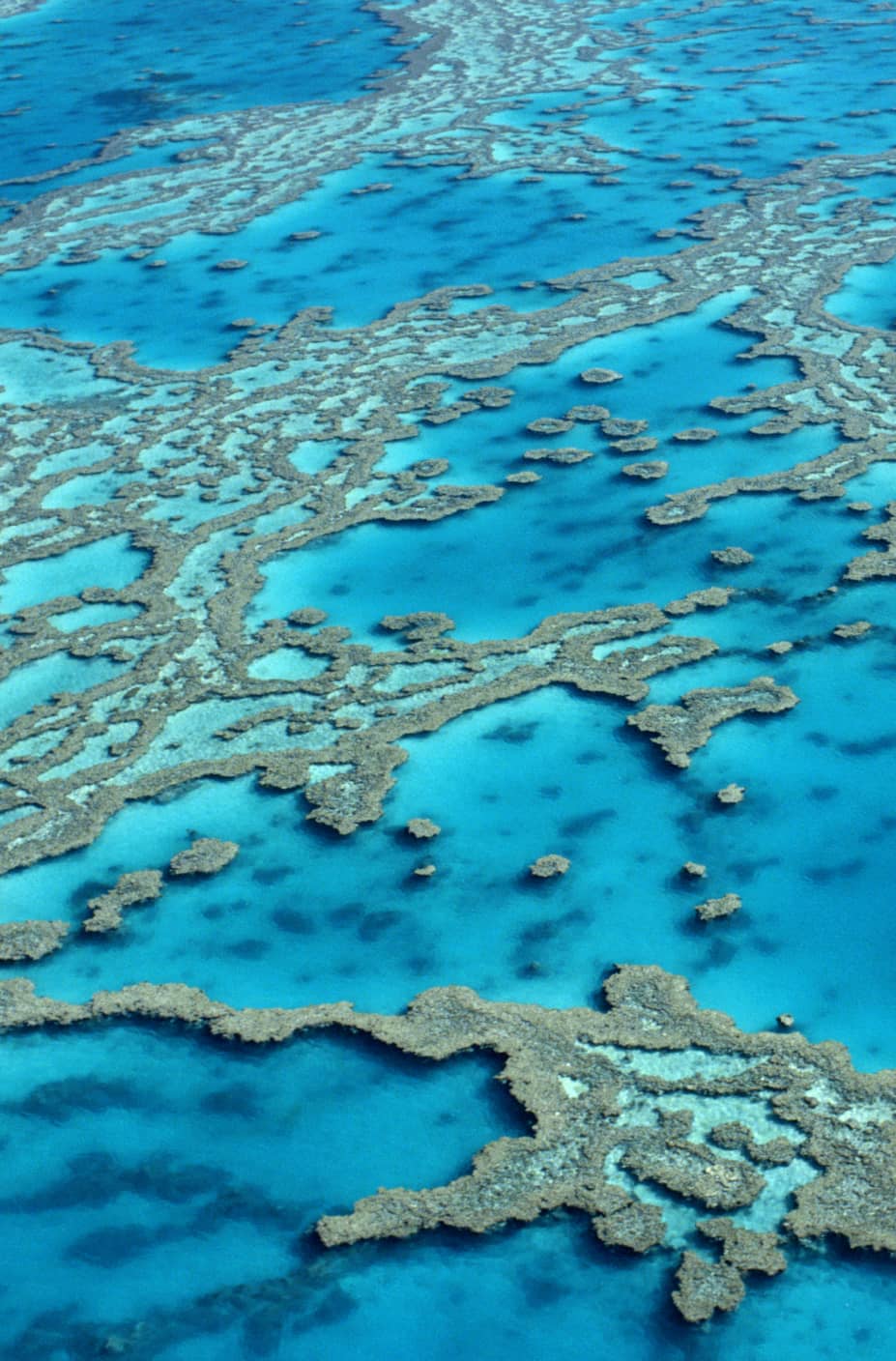  Great Barrier Reef  