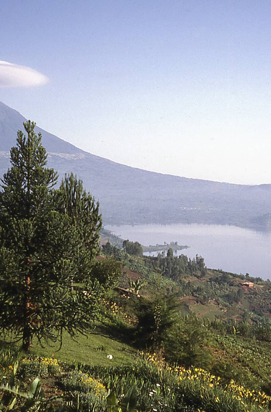  Rwanda  