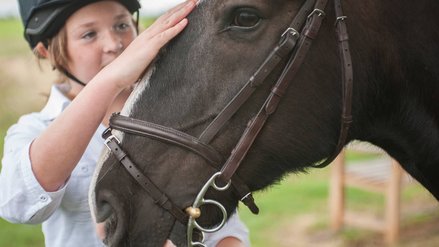 Close-up of girl in riding helmet petting brown horse's nose 