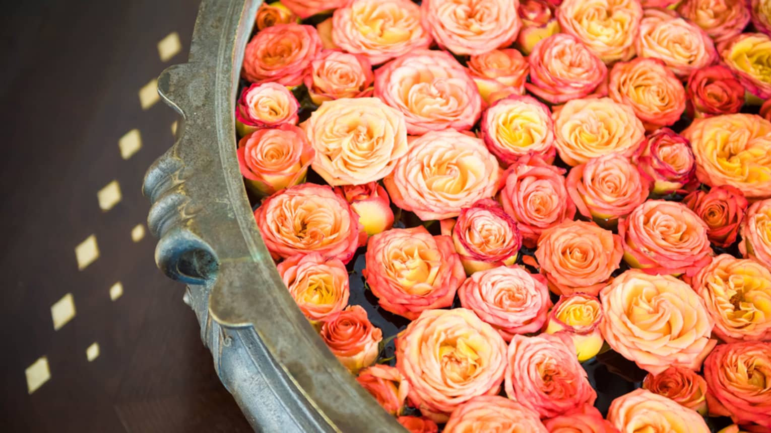 A decorative bowl of water with dozens of small, floating pink-and-yellow rose heads 