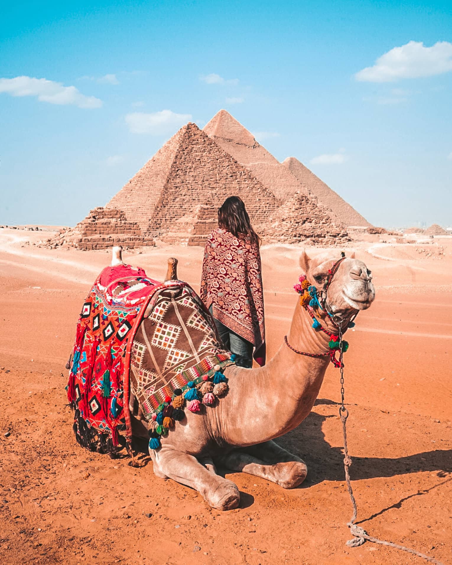 A woman behind a camel covered in colourful blankets looking at pyramids in the distance.