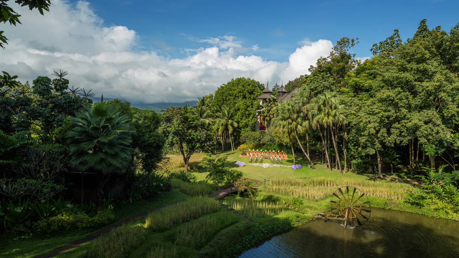 View over green rice fields, lawn, tropical gardens
