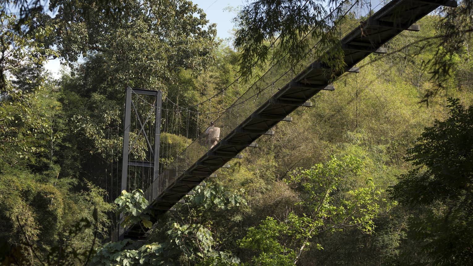 A suspension bridge crosses a lush forest, high above the ground. A person with a basket walks along it, surrounded by dense greenery and sunlight filtering through the trees.