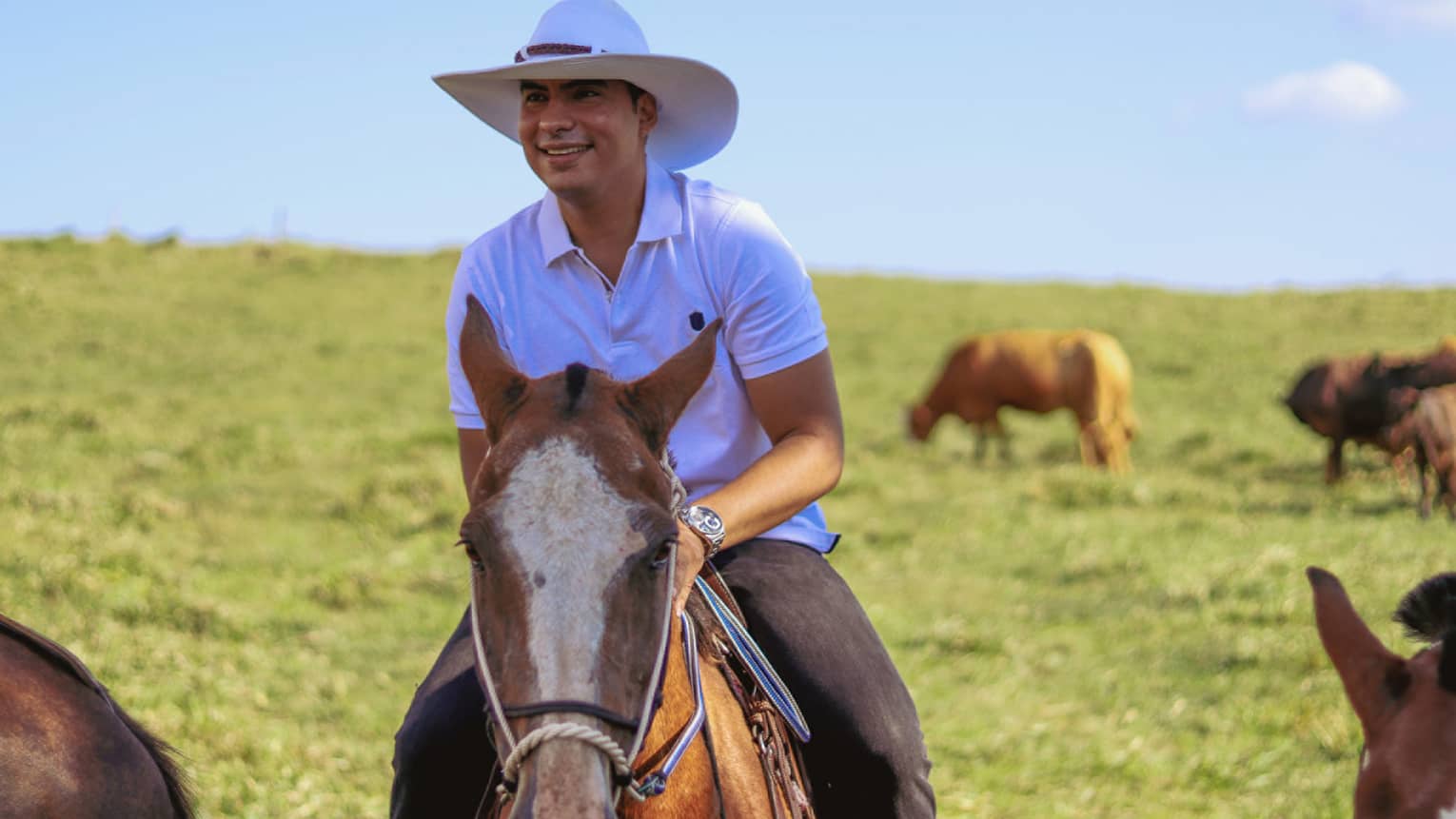 A grinning horseback rider in a white cowboy hat rides through a vast plain of green grass, cattle grazing in the background.