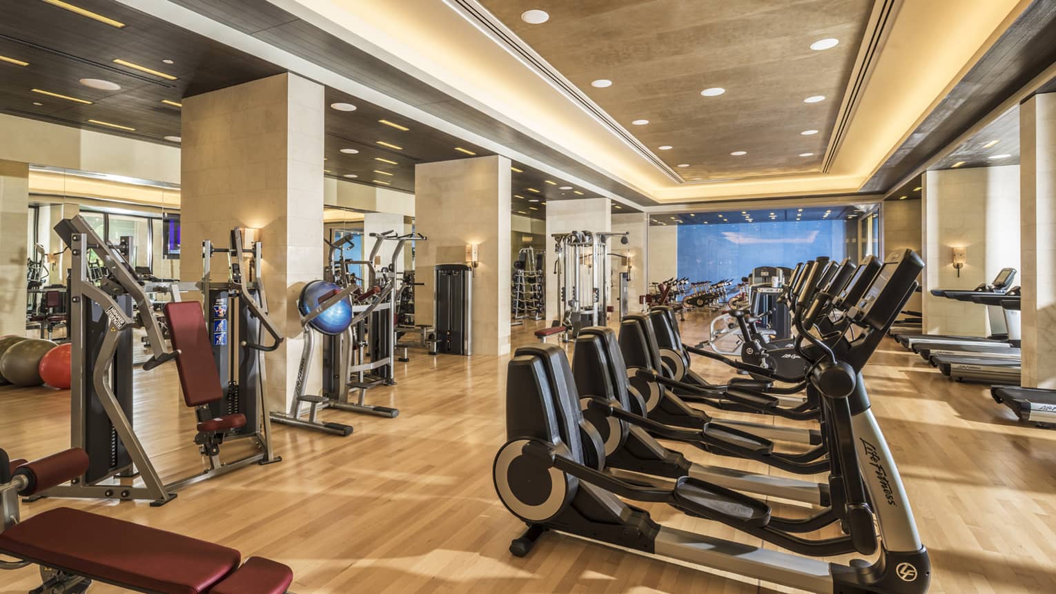 View of 30 Life Fitness cardio machines in bright room with pot lights across ceiling