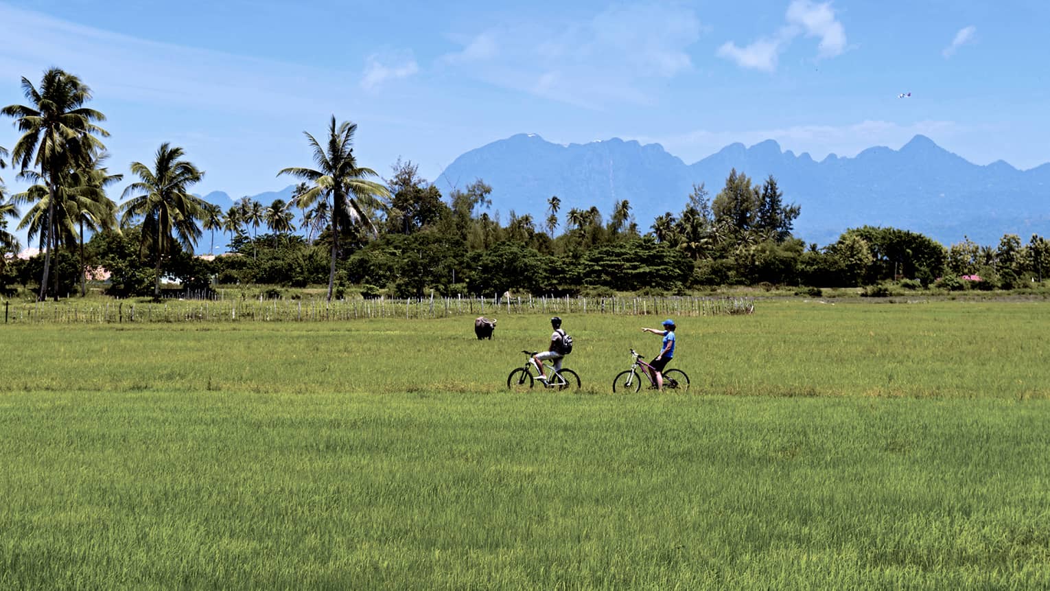 Couple riding bicycles through grassy field, tropical trees, mountains in distance