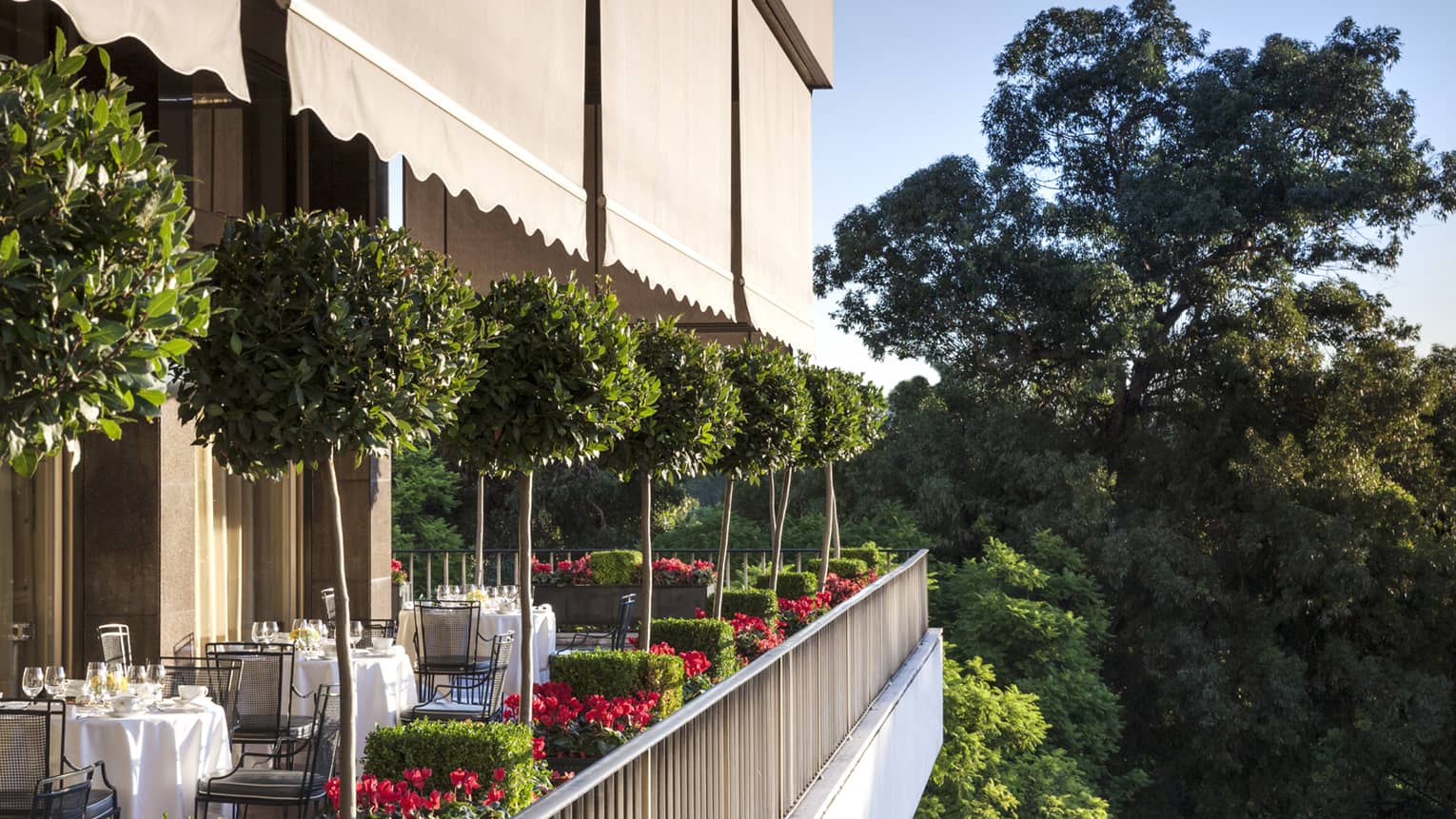 Veranda Terrace Side view of patio dining tables, potted trees 