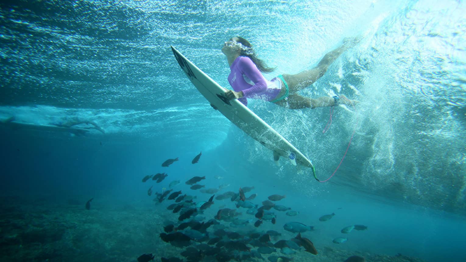Céline Gehret, ascending from the water above a school of fish as she surfs in the Maldives