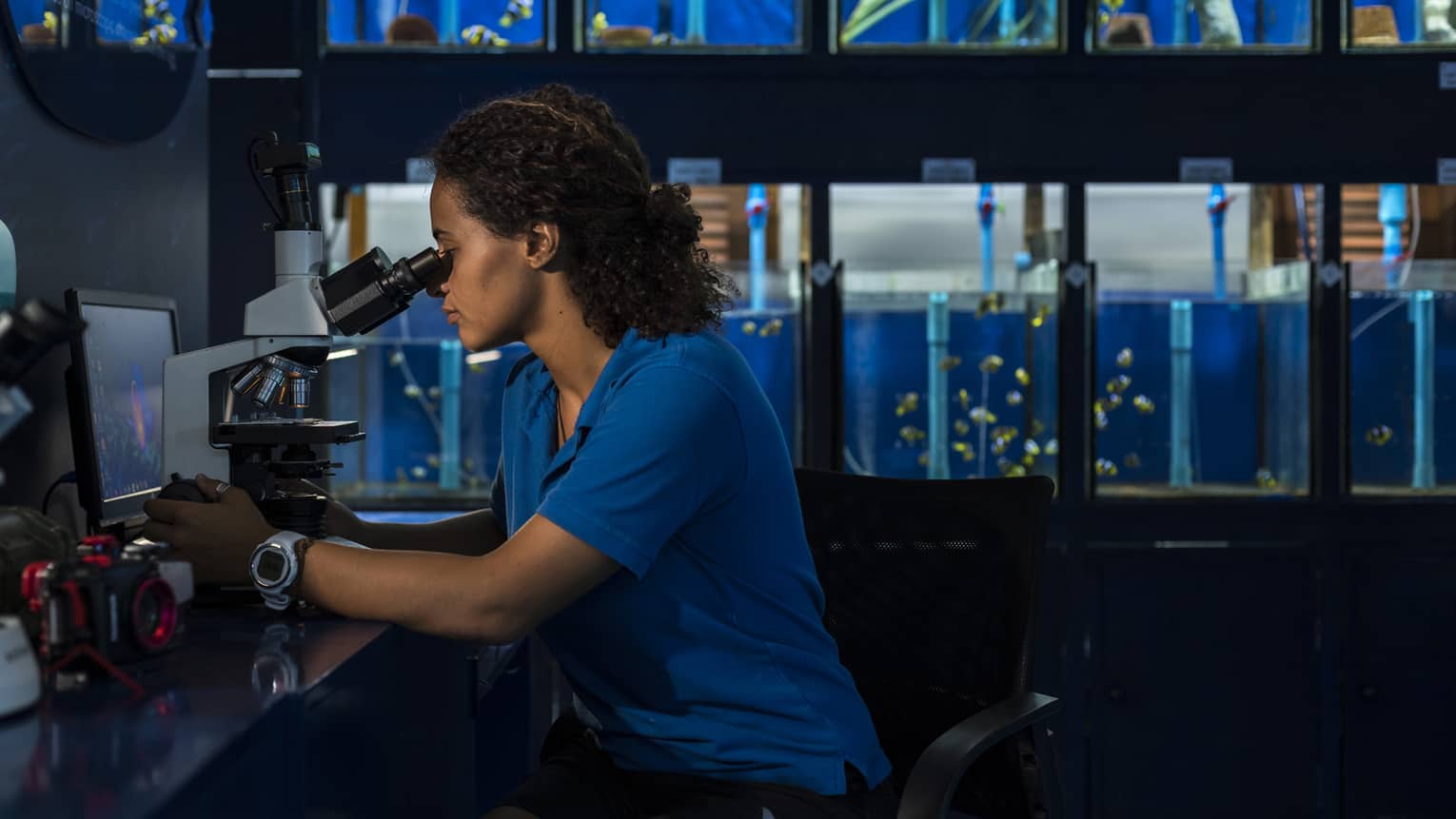 Woman in royal blue shirt looking into microscope