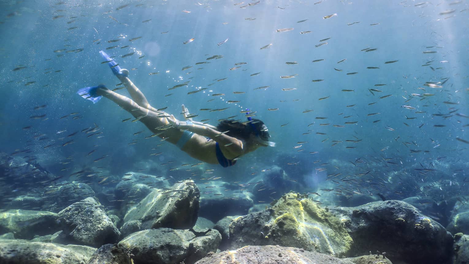 Women with snorkel, mask and fins swims in coral reef among tropical fish