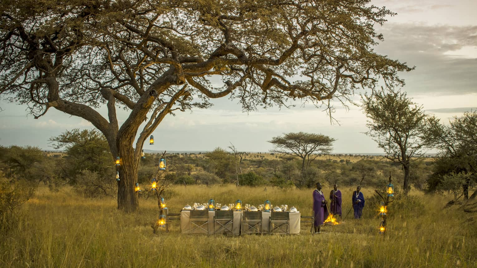 Three Maasai stand beside set dining table and chairs under a tree, lanterns in the Serengeti 