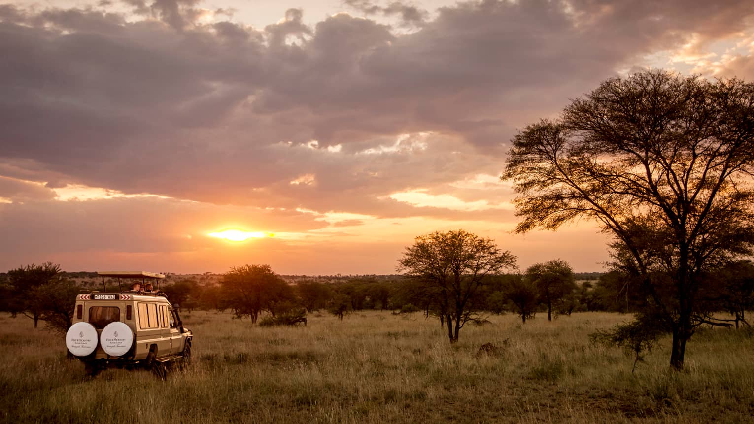 Sunset over safari jeep parked in grassy field by tree