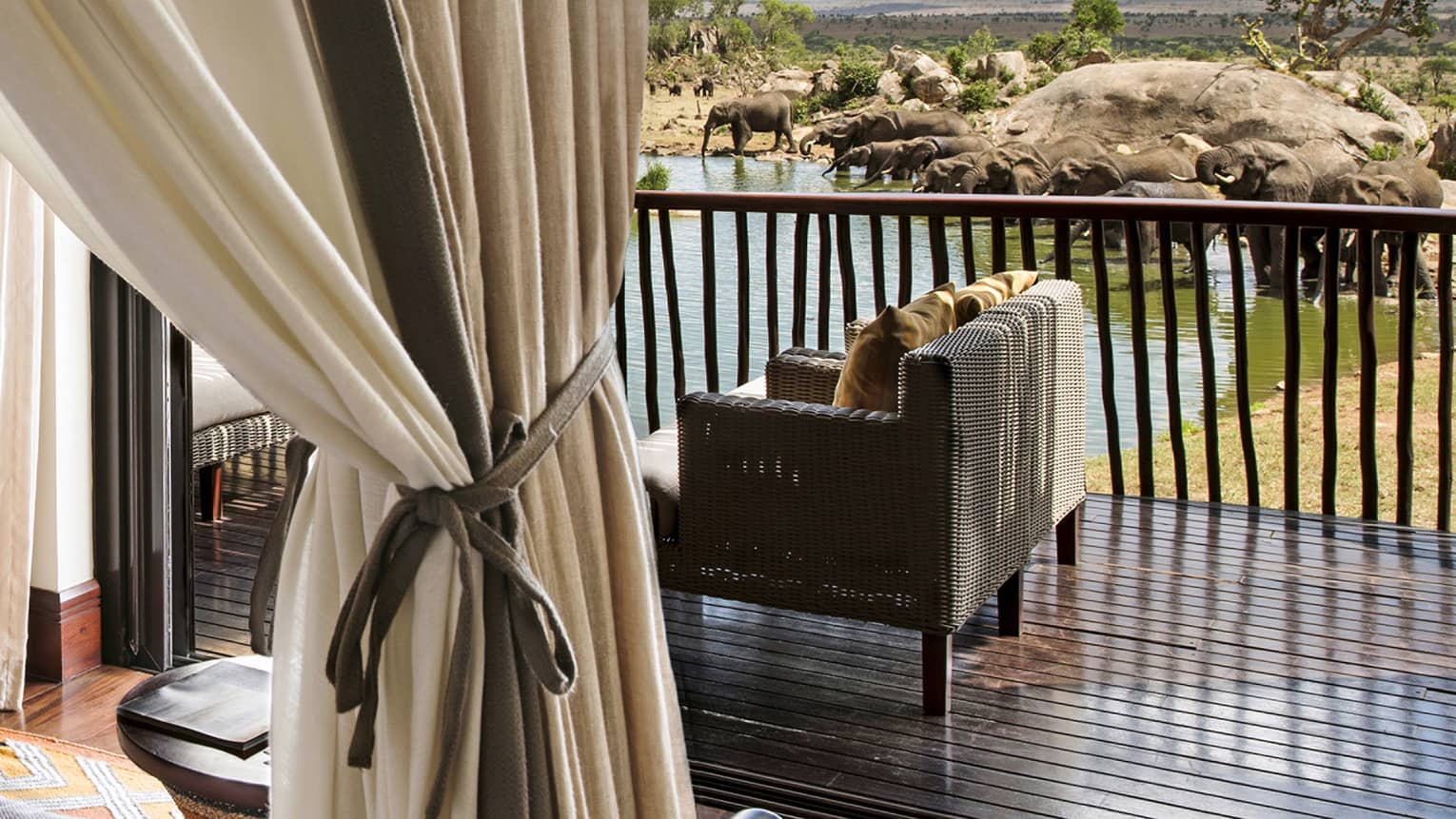 Savannah Room tied curtains in front of wicker loveseat on patio by elephants, waterhole