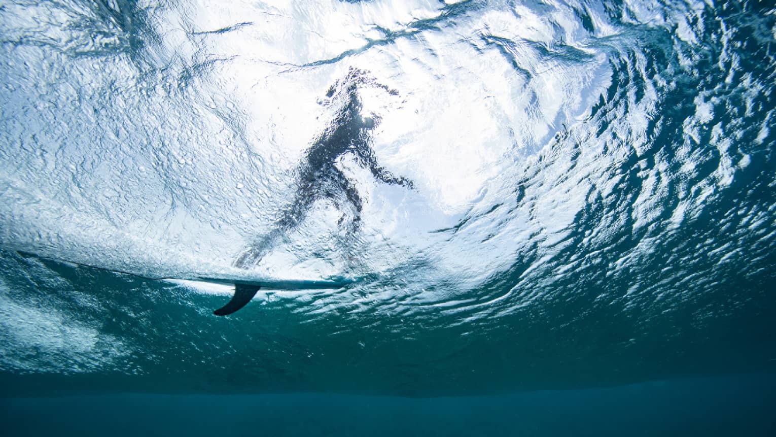 Underwater shot of surfer catching a wave
