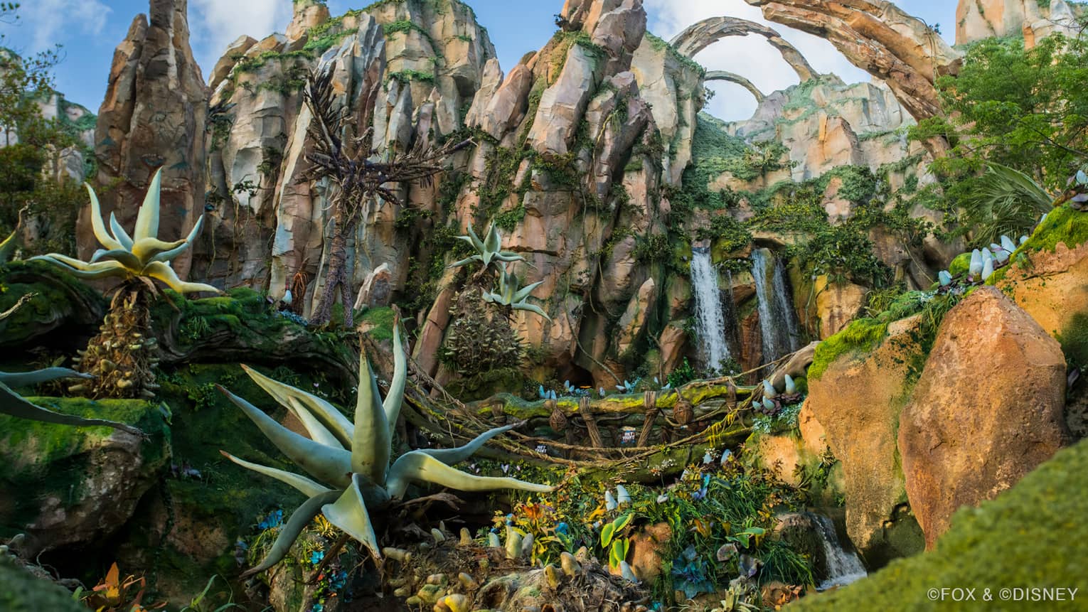 A theme park with many alien looking plants and tall mountains.