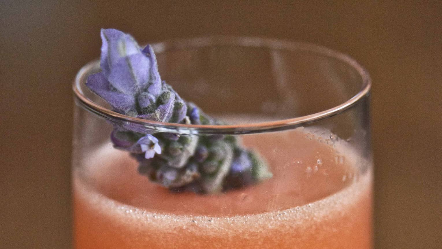 Tall glass with orange cocktail, lavendar garnish
