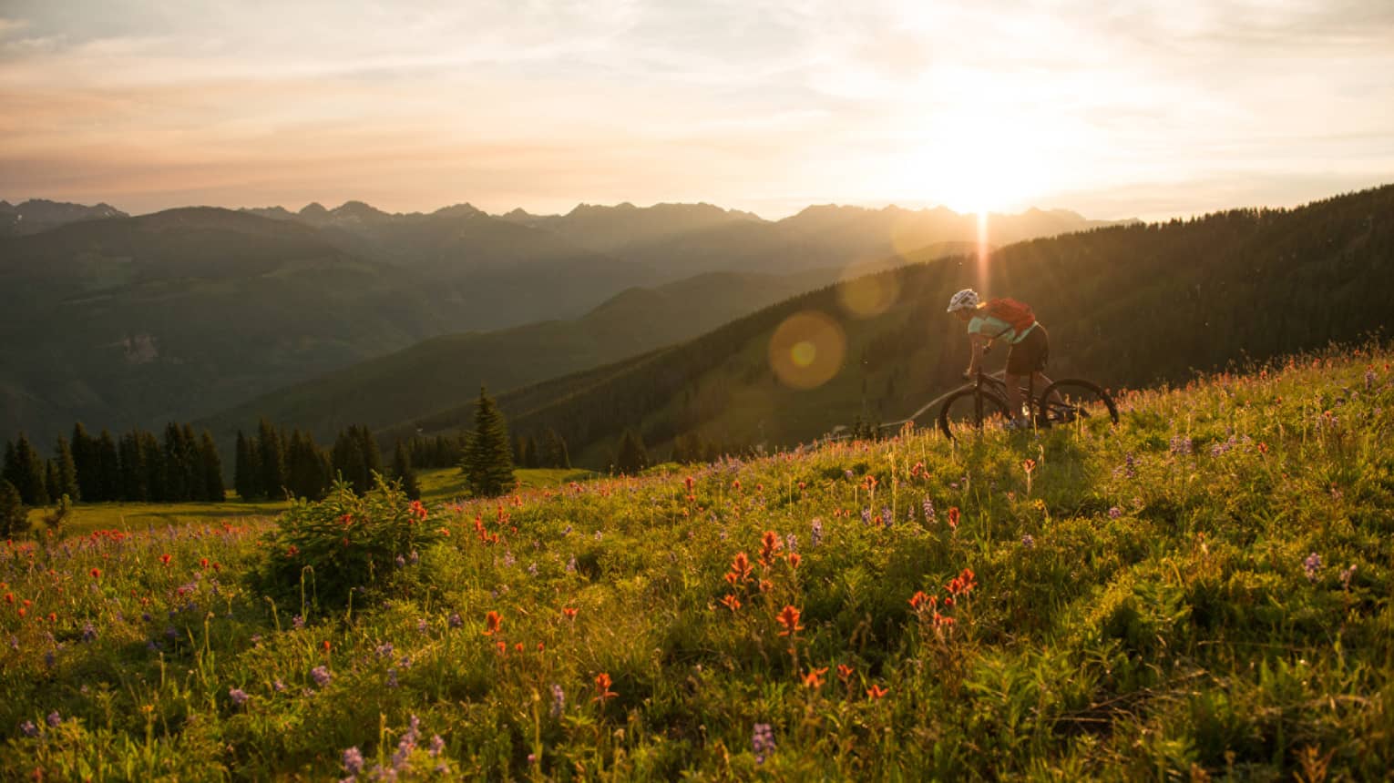 Sun sets over mountain meadow