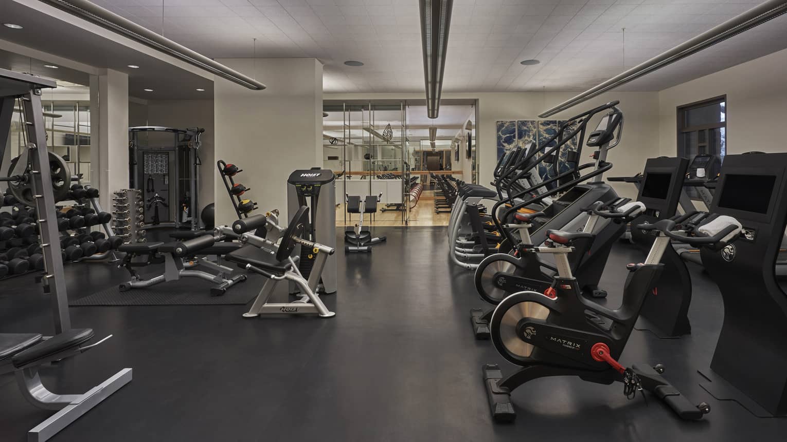 Indoor gym, white walls, black floors, various weight-training and cardio machines