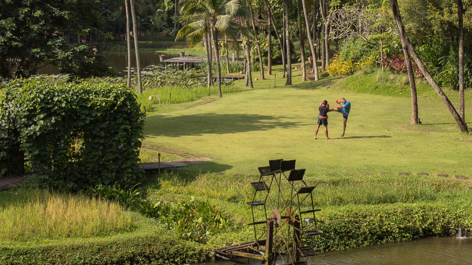 Long view of two boxers in a field, one kicking as the other blocks, dwarfed by soaring palms with a river in the foreground.