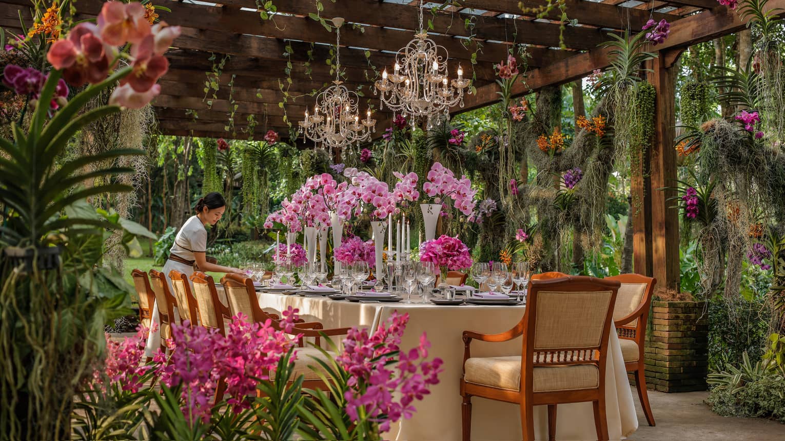 Hotel staff sets large formal dining table in tropical garden, large pink flowers under small crystal chandeliers