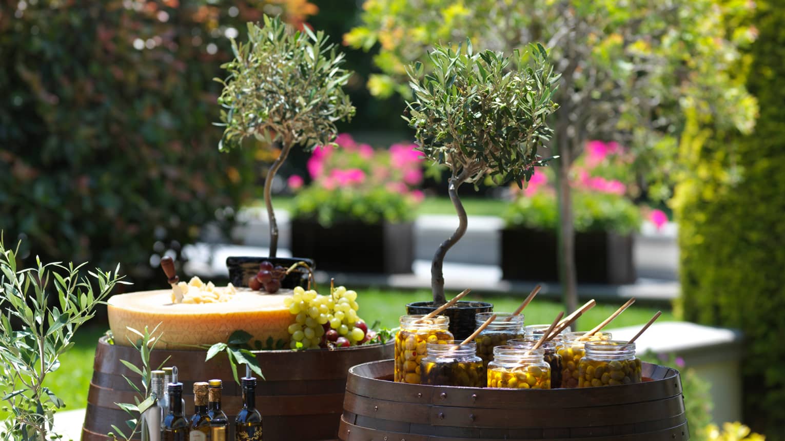 Potted olive trees, jars of olives, bottles of oil, a Parmesan cheese wheel, and grapes served atop two barrels in a garden.