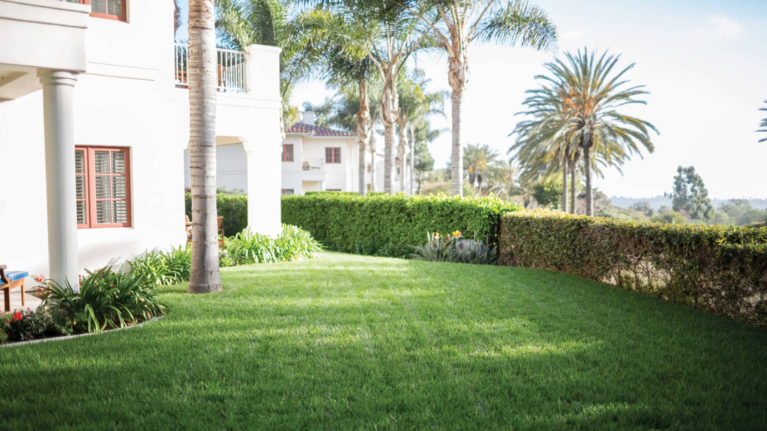 Lush green lawn in front of hotel, surrounded by landscaped bushes, plants and palm trees