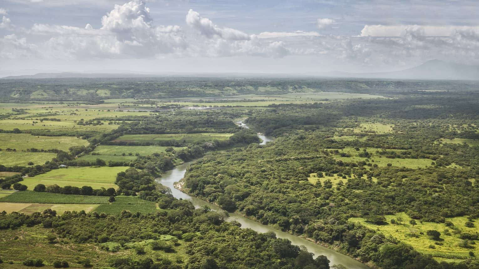 Aerial view of a river running through green farmland