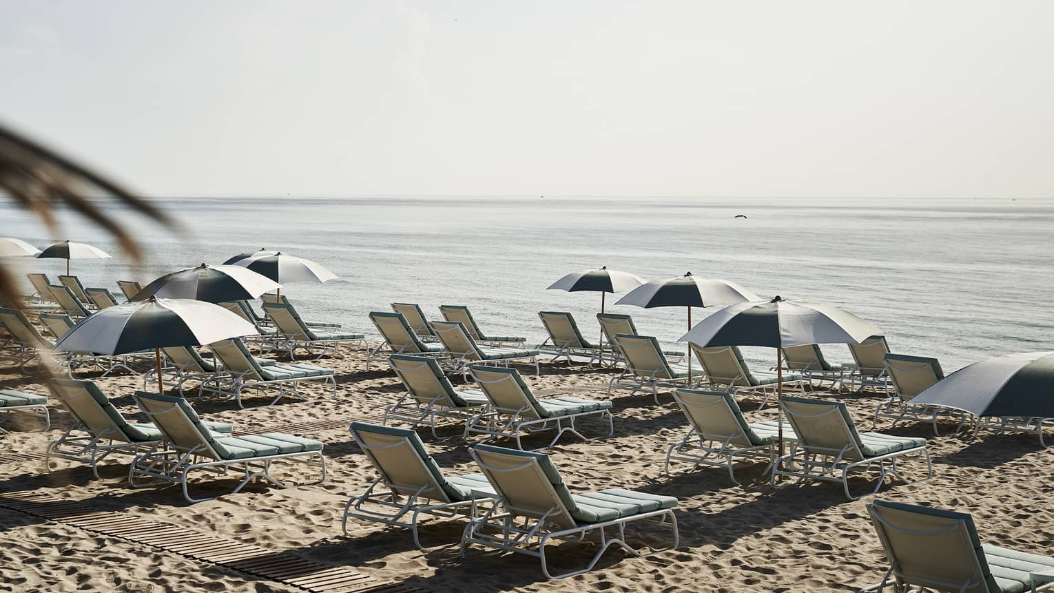 Lounge chairs and umbrellas on a beach.