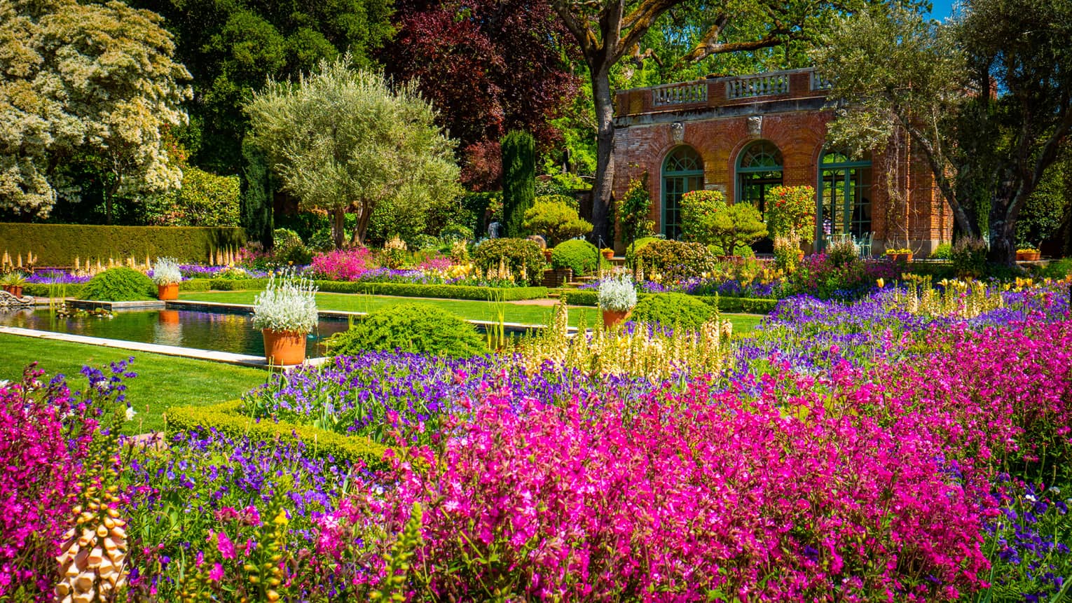 A garden with colourful flowers.