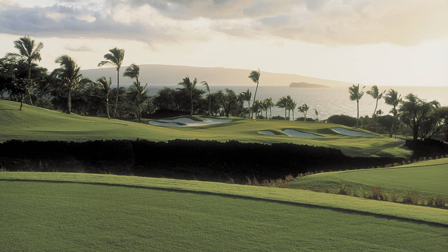 Rolling golf greens at oceanside Wailea Gold Course with palms and ocean view
