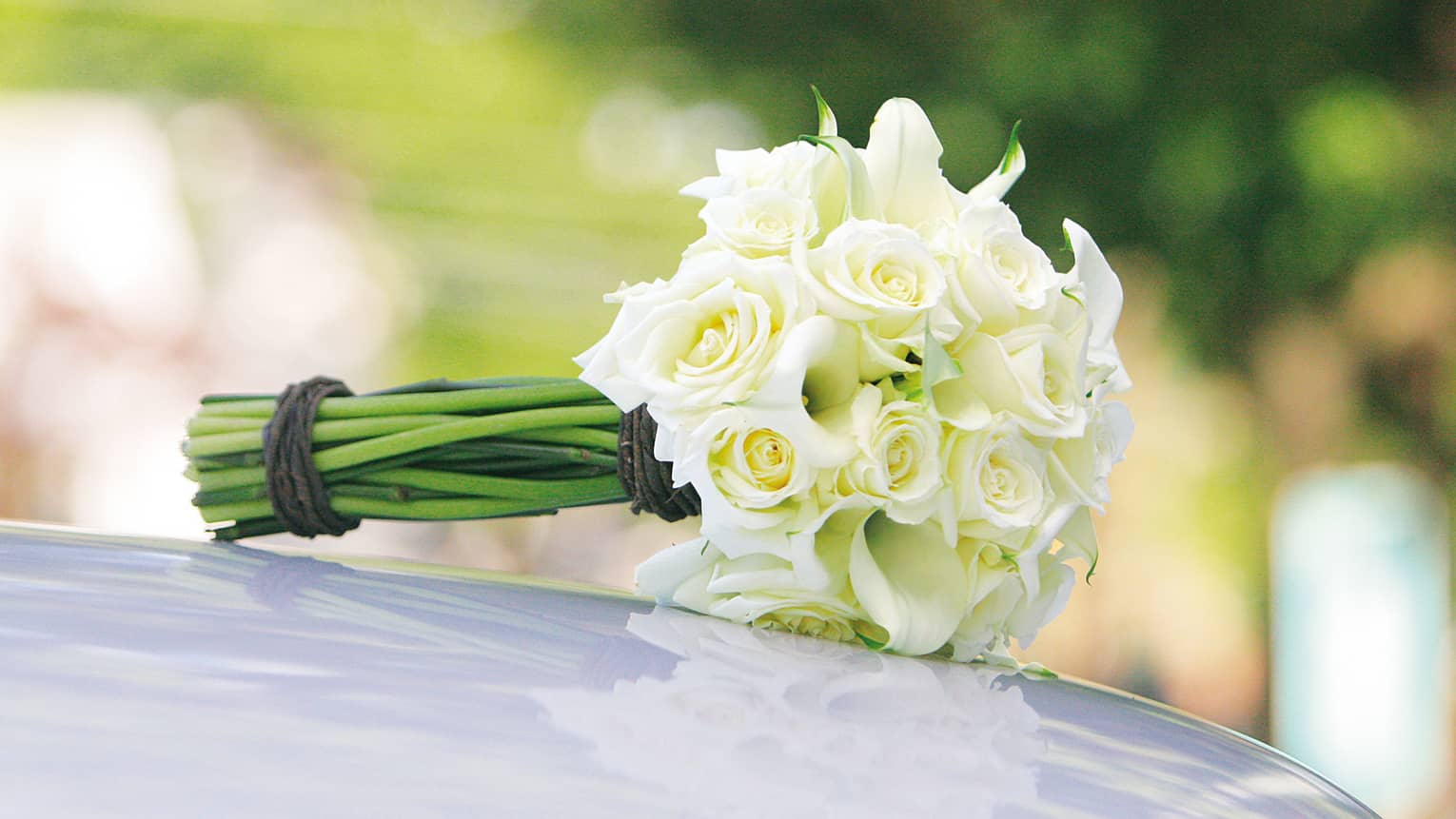 Wedding bouquet of white roses rests on hood of white car