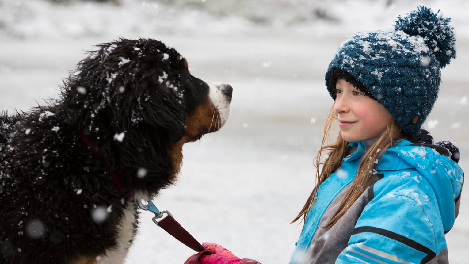 Young girl with knit hat holds leash of large dog as snow falls