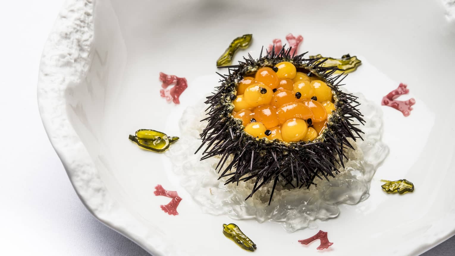 Gourmet Sea Urchin on white plate at Le Cinq