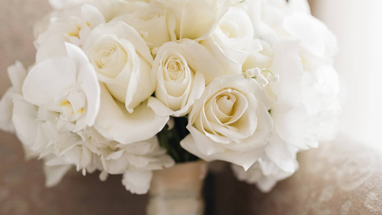 Bouquet of white roses rests against arm of sofa