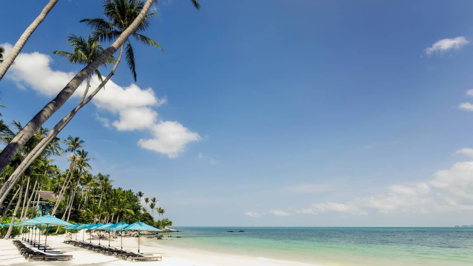 Rows of lounge chairs, beach umbrellas on white sand near ocean