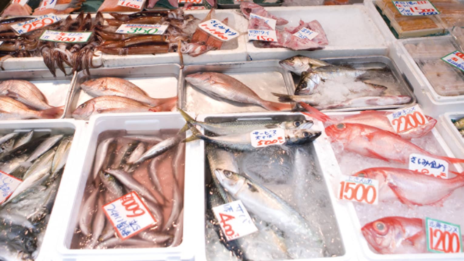 Raw whole fish on ice in Tsukiji Outer Market 