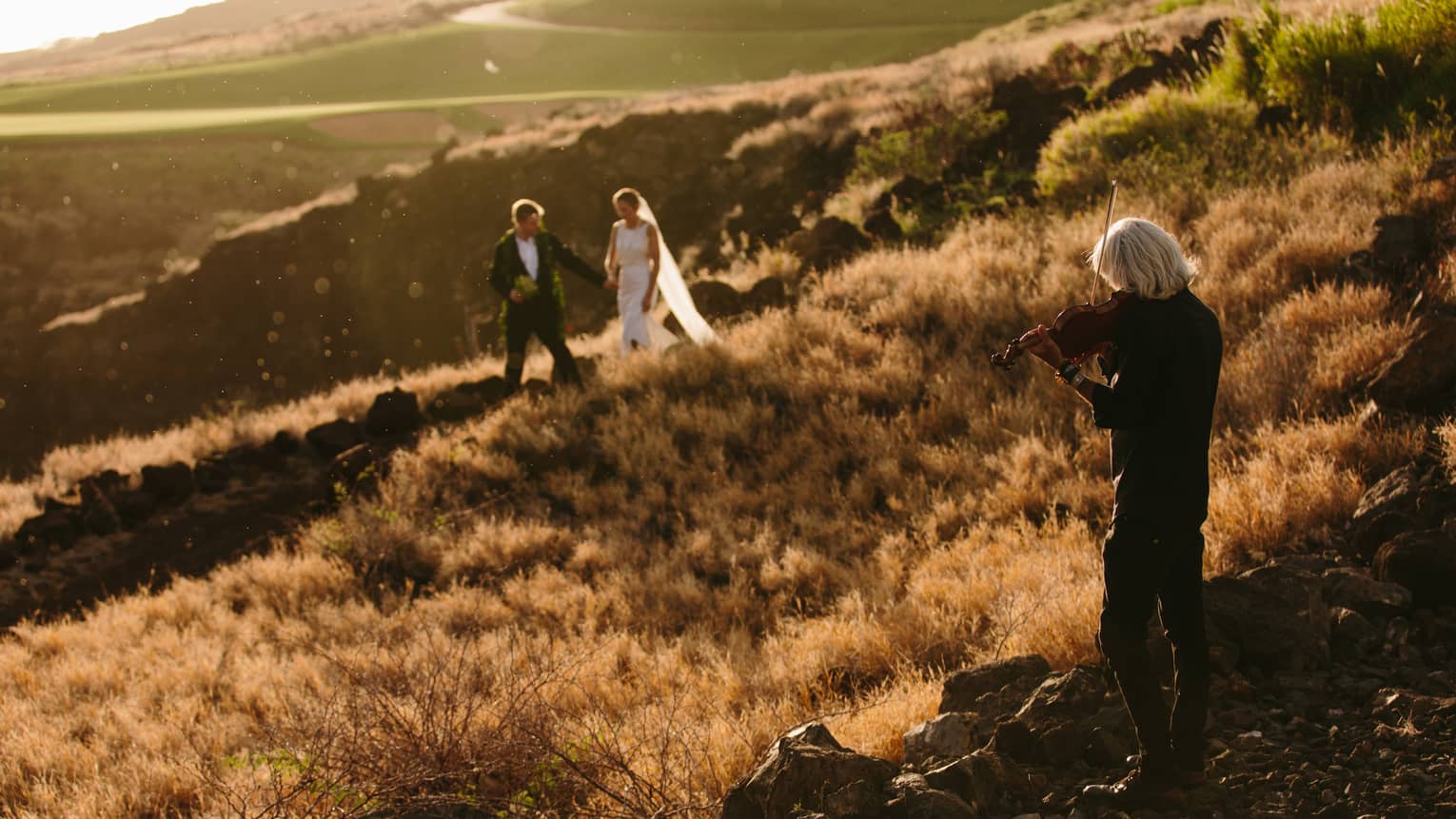 A couple in a wedding dress and suit walk through red oat grass on the side of a hillside, as a photographer clad in black records them.