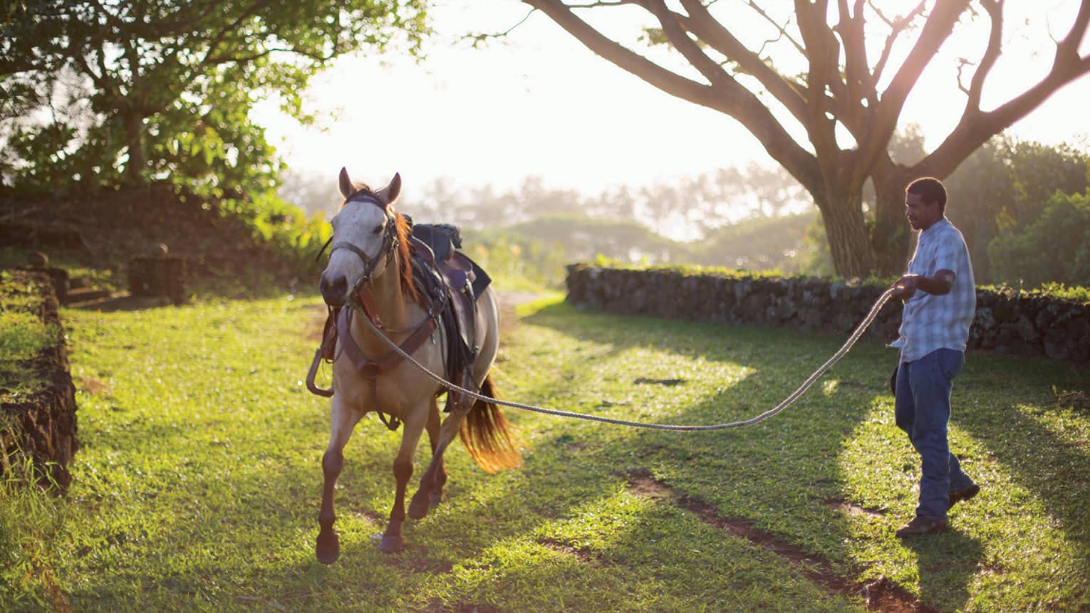 A saddled horse, ready to be ridden at Hana Ranch 