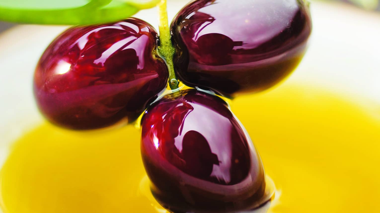 Close-up of three shiny purple olives on vine over yellow sauce