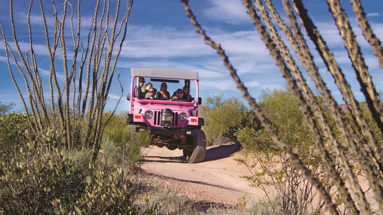Pink Jeep with tourists drives down desert road past shrubs, cacti