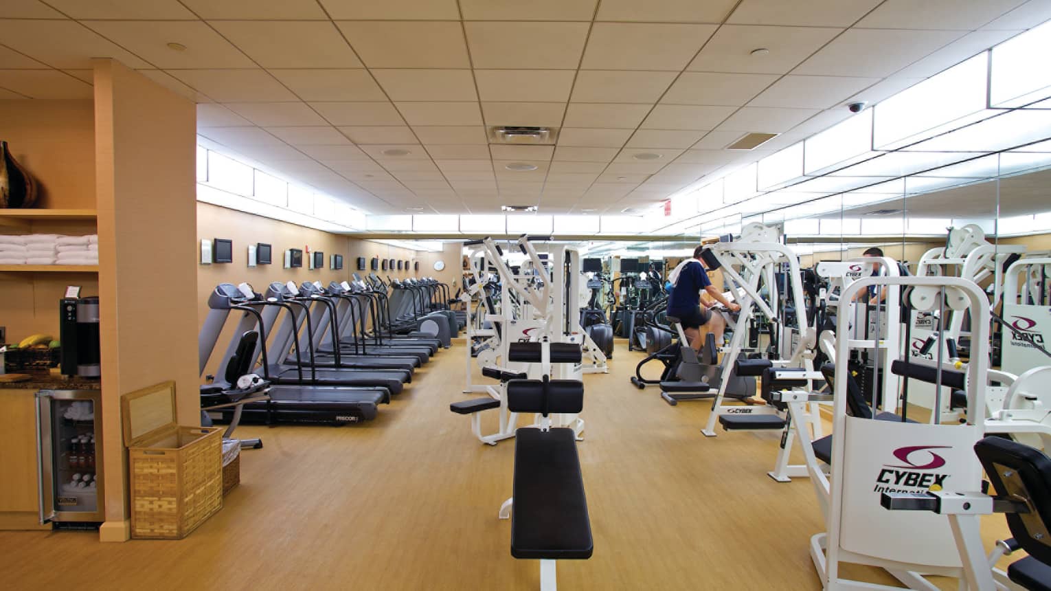 Rows of cardio machines, treadmills, bench presses in large Fitness Centre