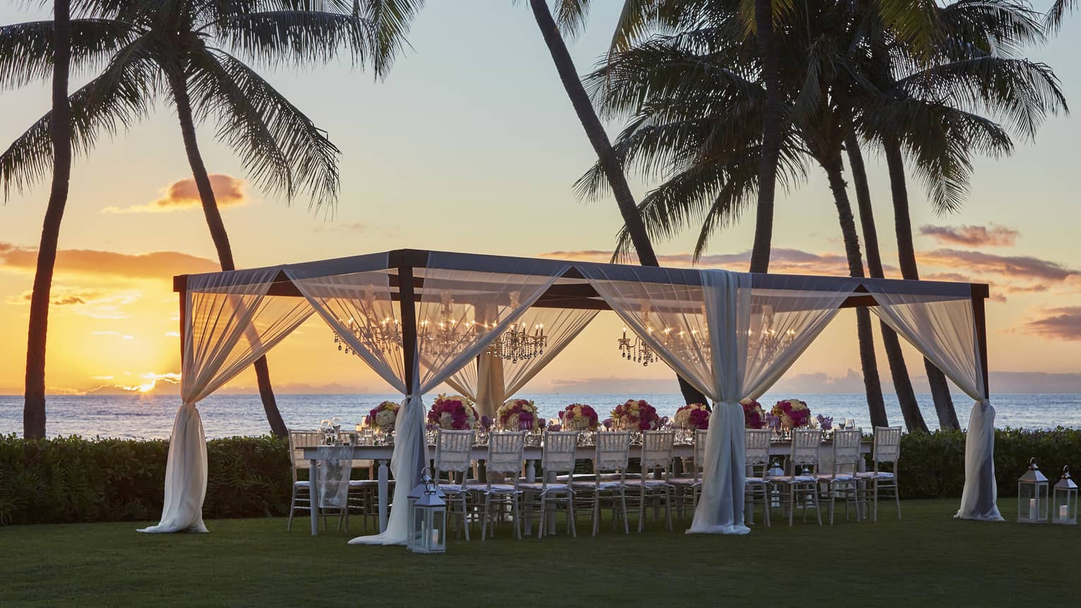 Pergola with sheer white curtains over wedding dining table on lawn by palm trees, ocean at sunset