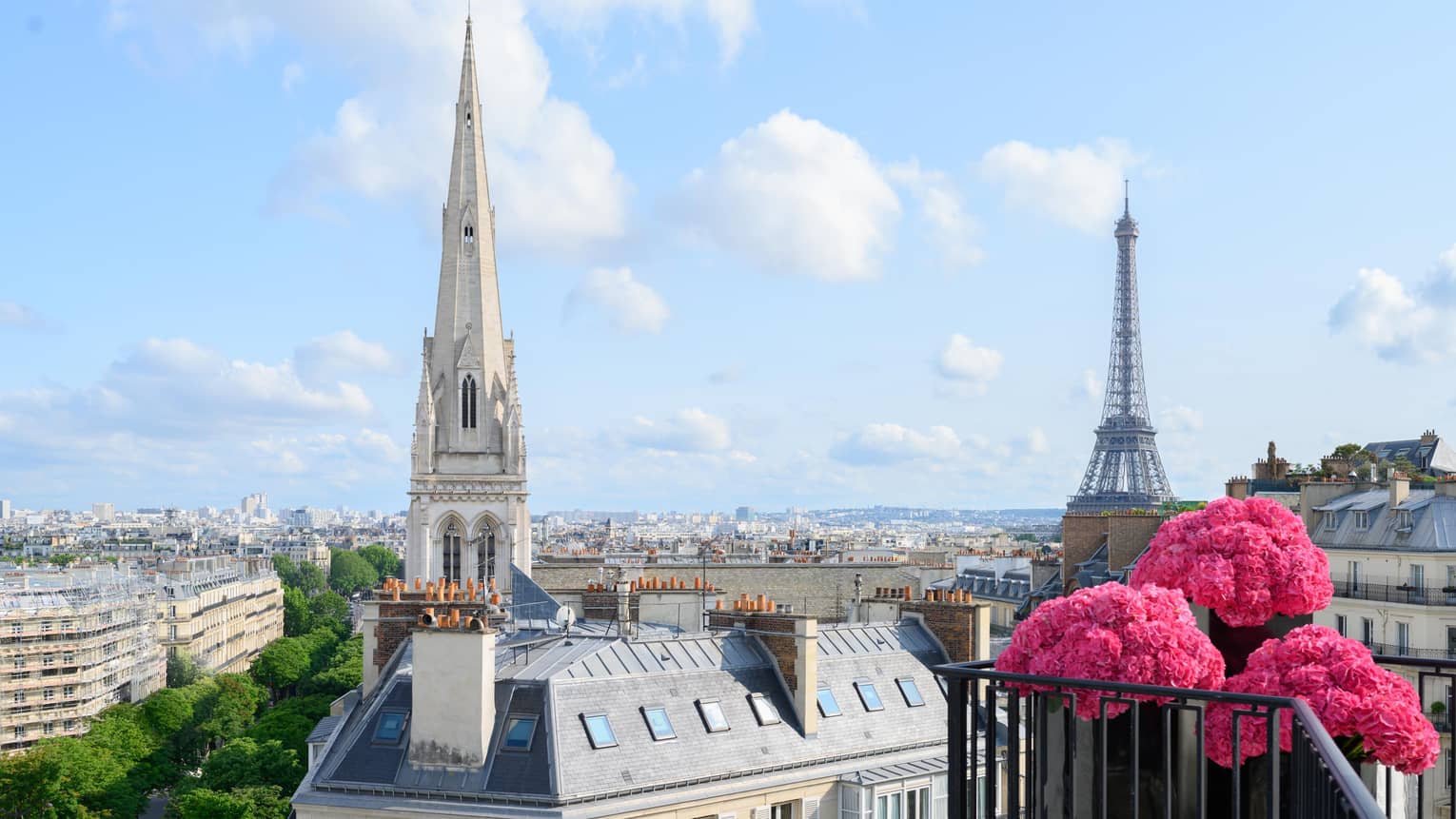 Pink flowers on balcony in front of Paris rooftops, cathedral and blue sky