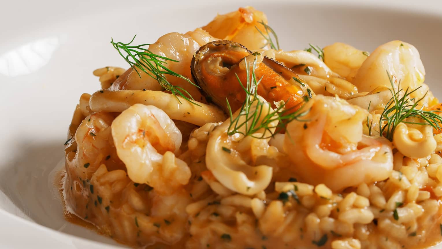 Risotto with prawns and dill garnish in shallow white bowl