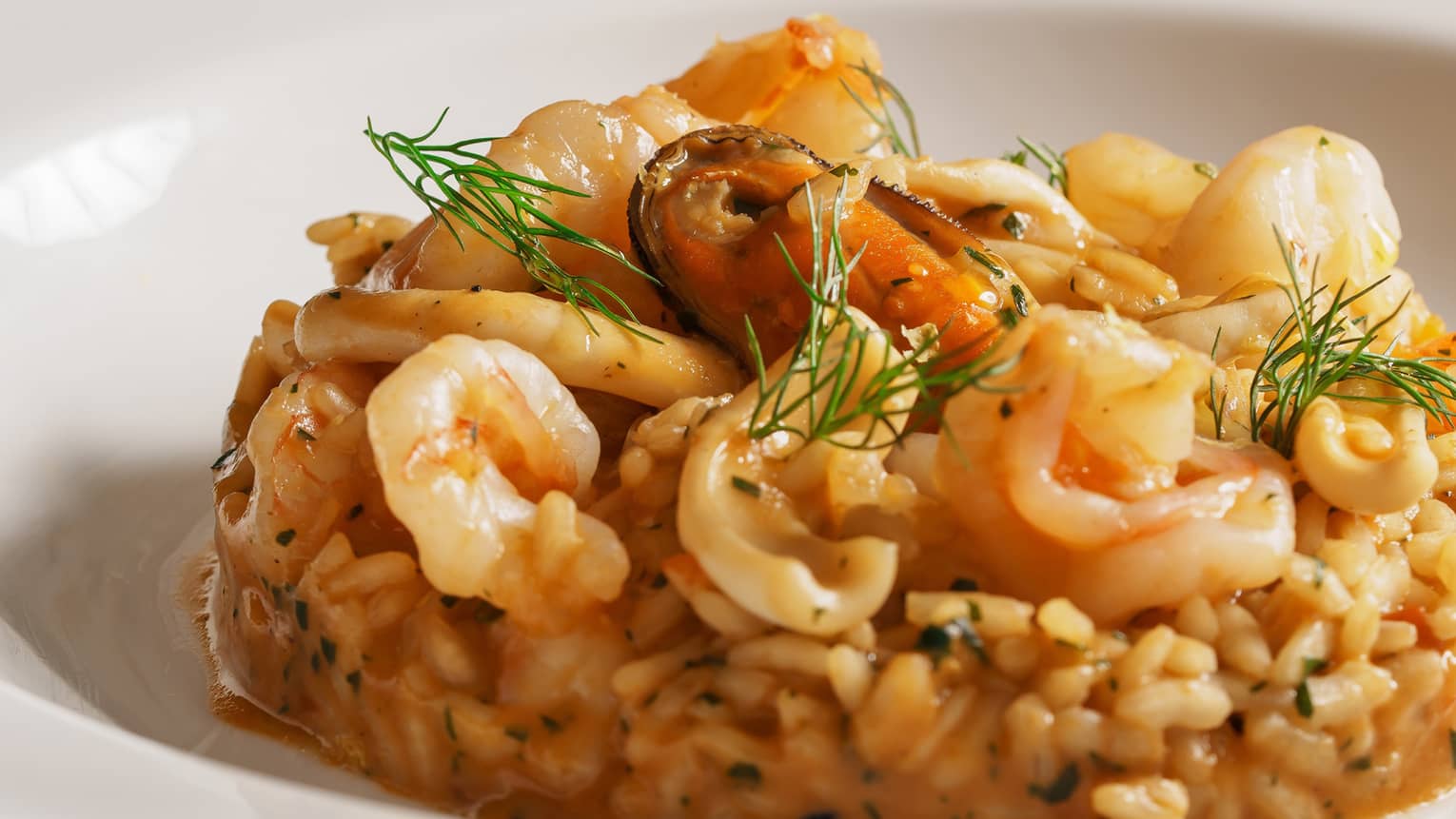 Risotto with prawns and dill garnish in shallow white bowl