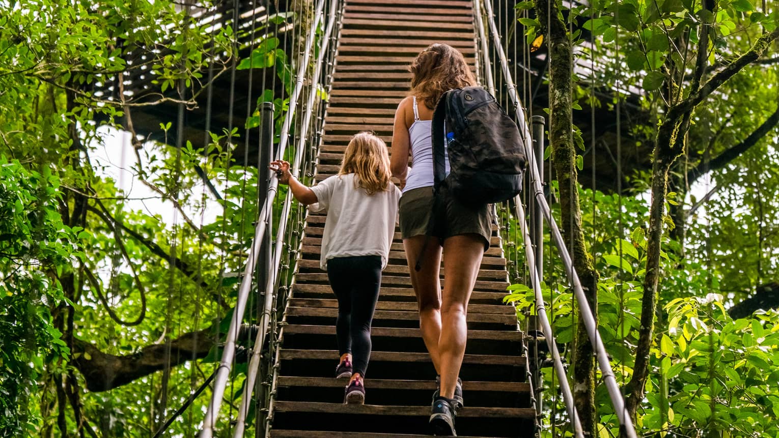 Rear view of an adult and child climbing a steep wooden staircase with metal rails toward a platform nestled in the treetops.